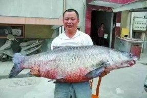 青鱼视频国产在线,国产在线影视盛宴，尽享视听盛宴